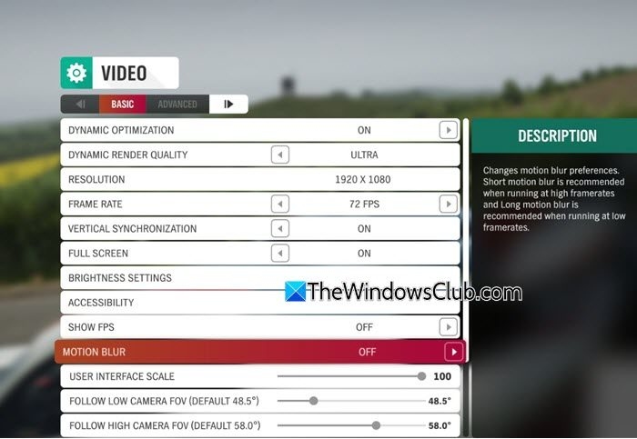 Motion Blur in-game setting